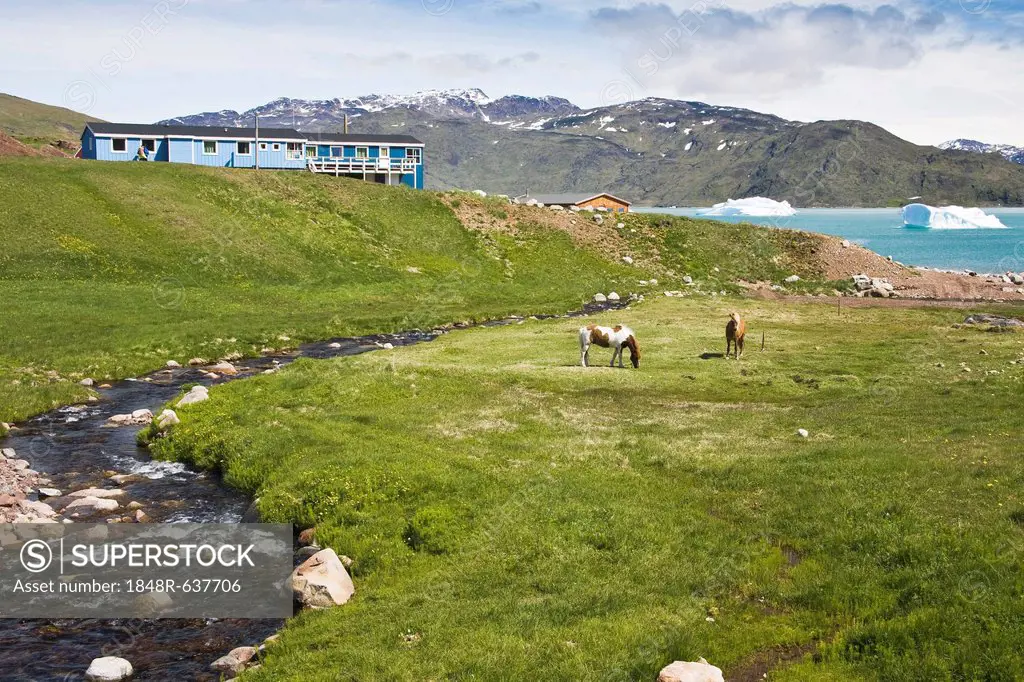 Pasture landscape in southern Greenland