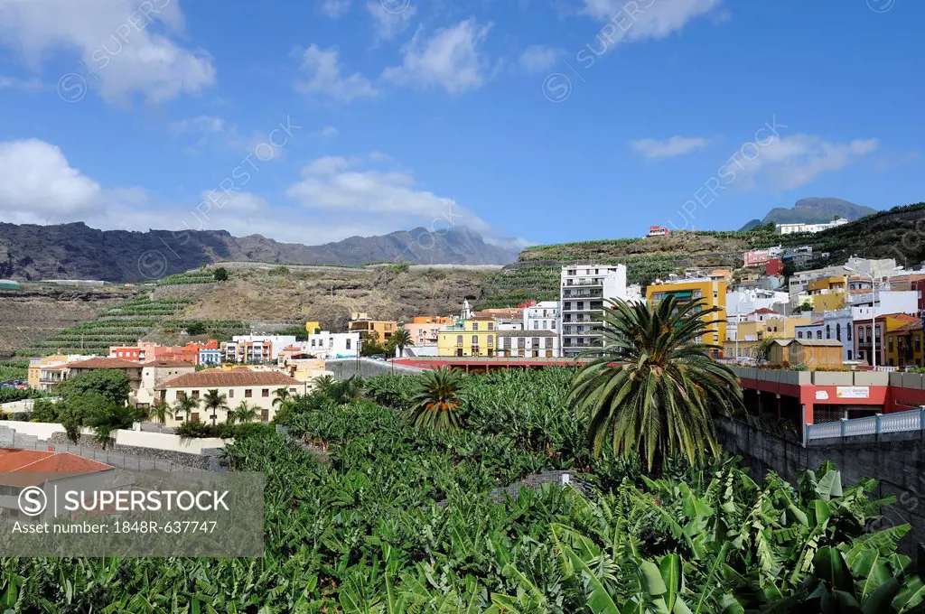 Tazacorte, La Palma, Canary Islands, Spain, Europe, PublicGround