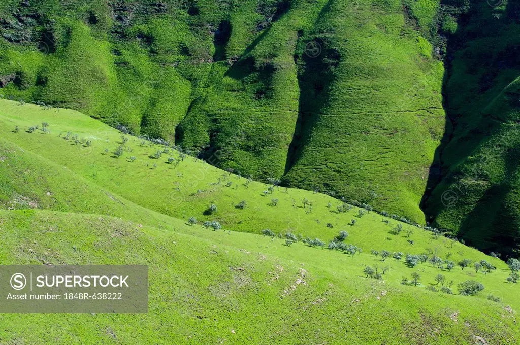 Green countryside, foothills of the Drakensberg Mountains, Free State, South Africa, Africa