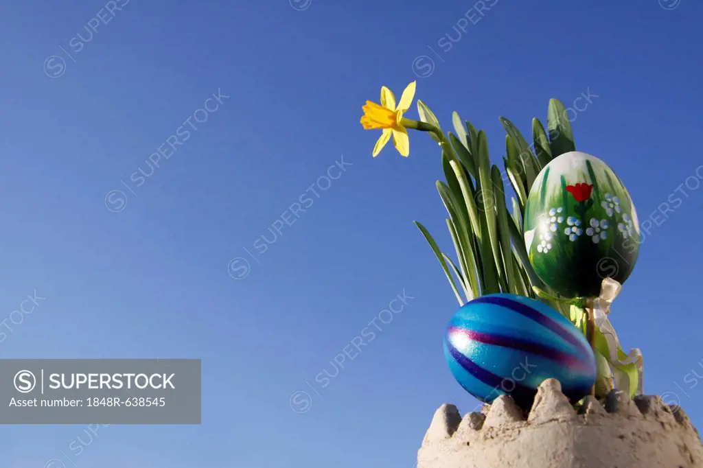 Easter decorations, daffodils and Easter eggs