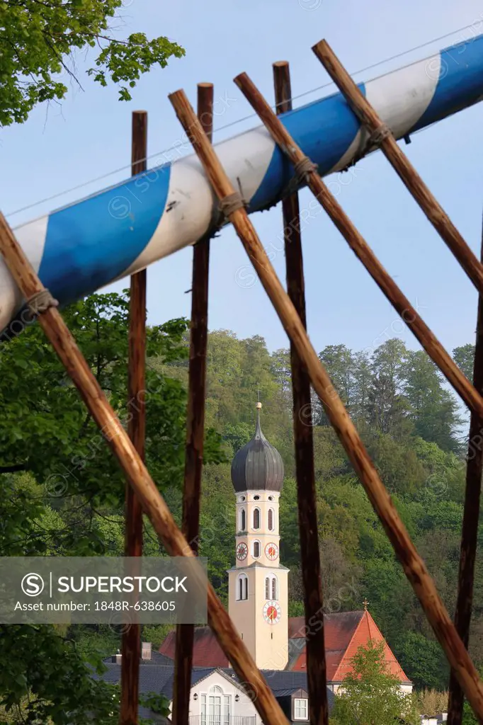 Parish church of St. Andreas, raising the maypole, Wolfratshausen, Upper Bavaria, Bavaria, Germany, Europe