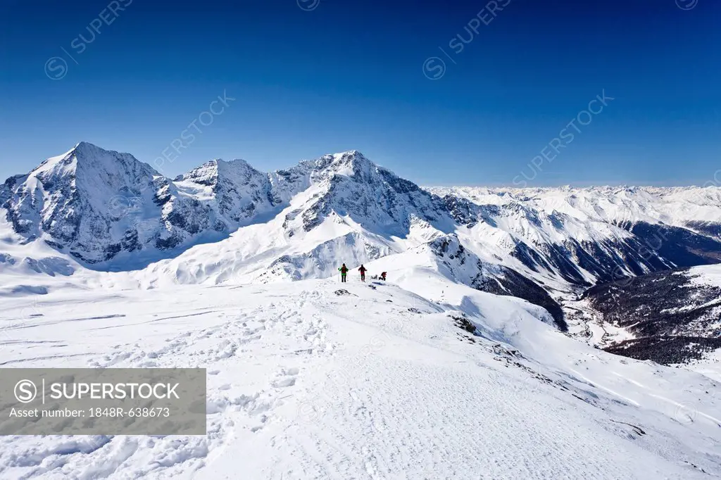 Cross-country skiers descending Hintere Schoentaufspitze Mountain, Solda, looking towards Koenigsspitze Mountain, Zebru Mountain Ortler Mountain and t...