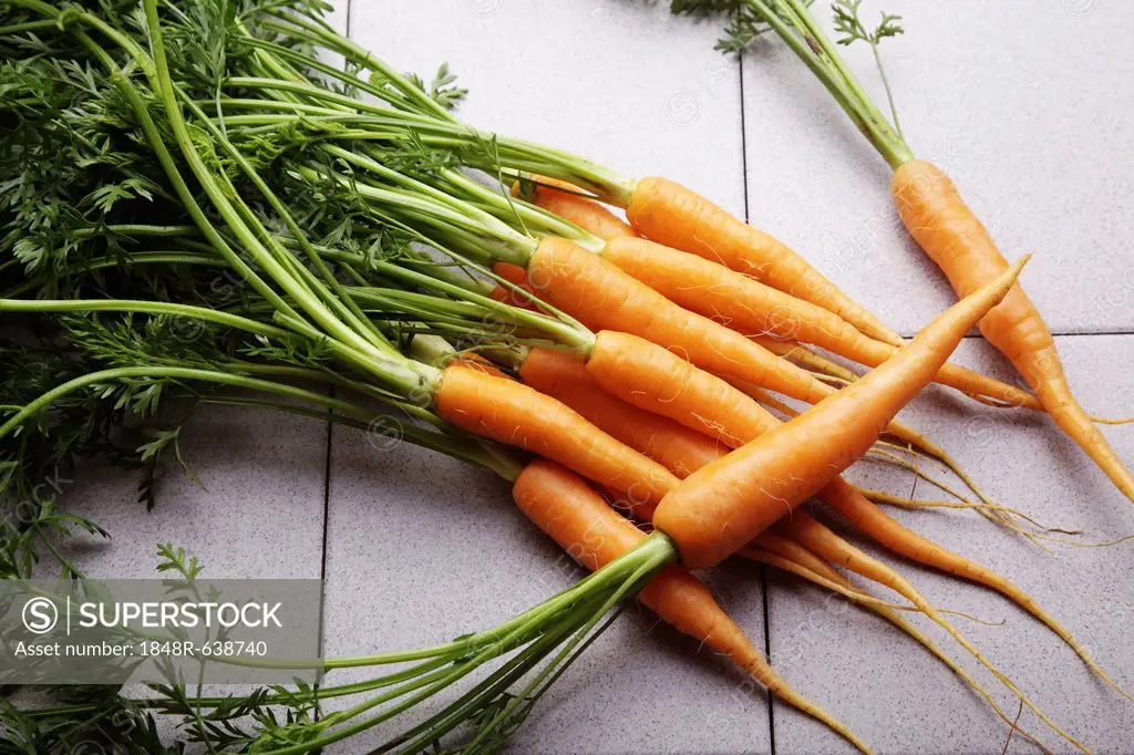 Fresh carrots