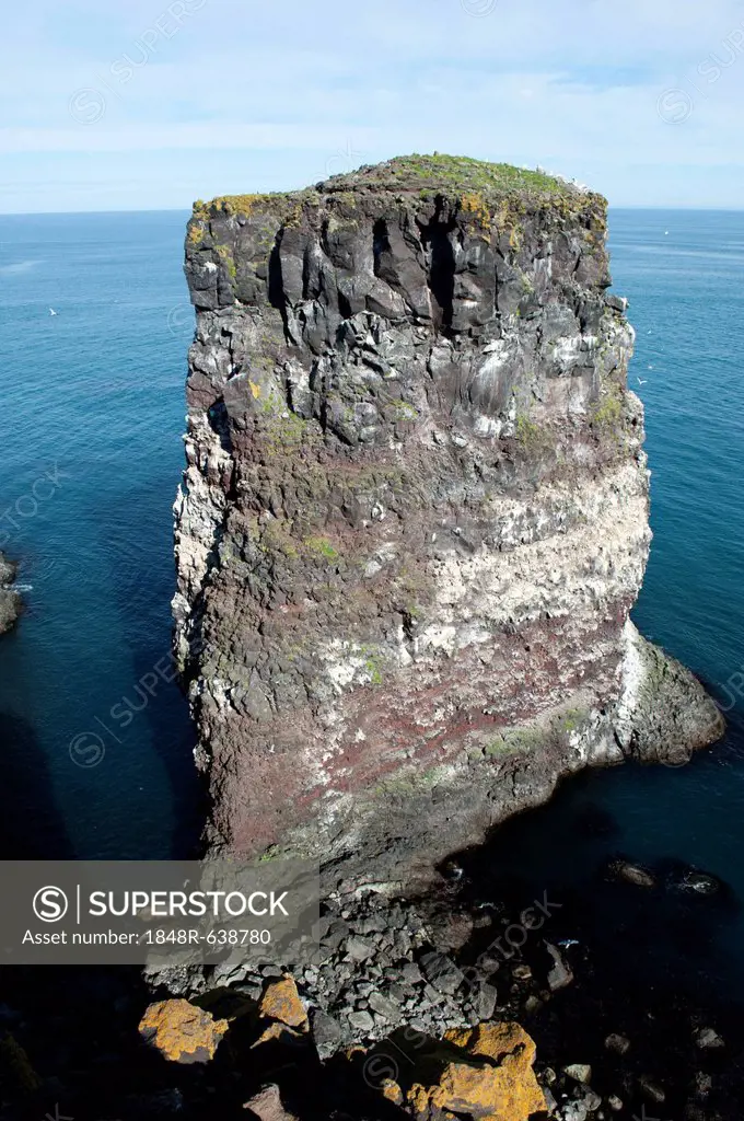 Bird rocks near Núpskatla, Raufarhoefn, Melrakkaslétta, Iceland, Scandinavia, Northern Europe, Europe