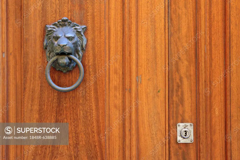 Door knocker in the form of a lion's head on the front door of a house, Valletta, Malta, Europe
