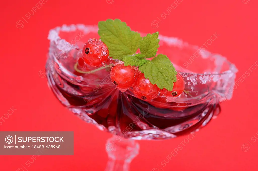 Fresh red currants in a lead crystal glass, with a sugar rim