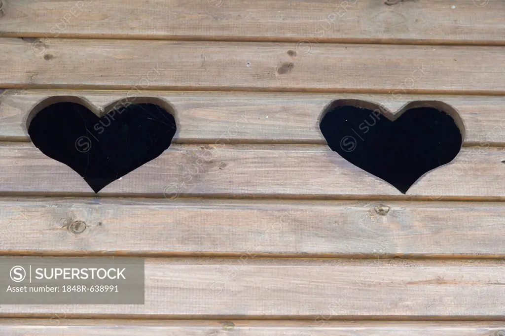 Hearts cuts into wooden wall