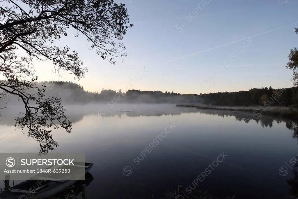 Early morning on a pond in a marshland, Oberallgaeu, Allgaeu, Bavaria, Germany, Europe