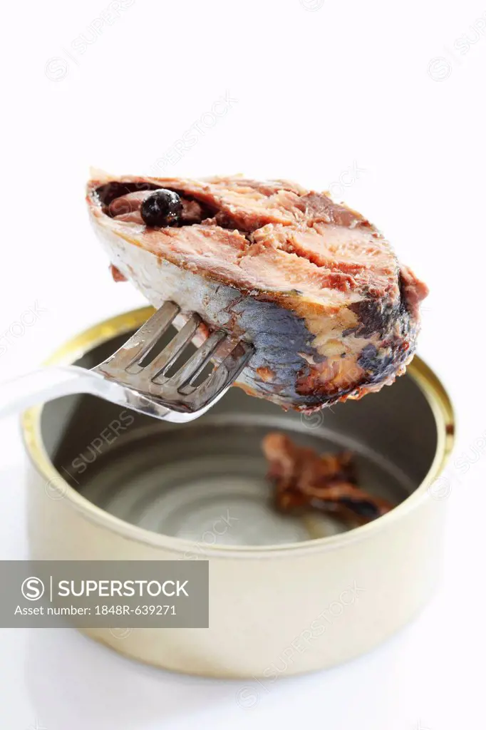 Fork with a piece of sardine from the tin