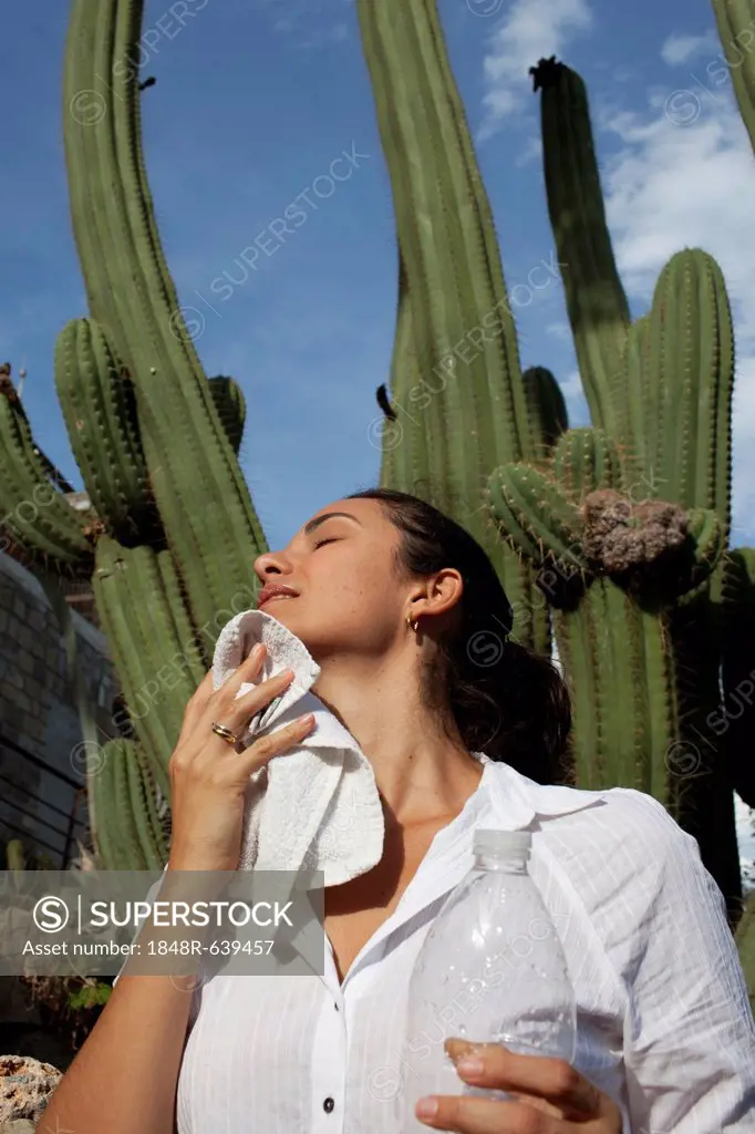 Heat wave, woman drying sweat in front of a cactus, Barcelona, Spain, Europe