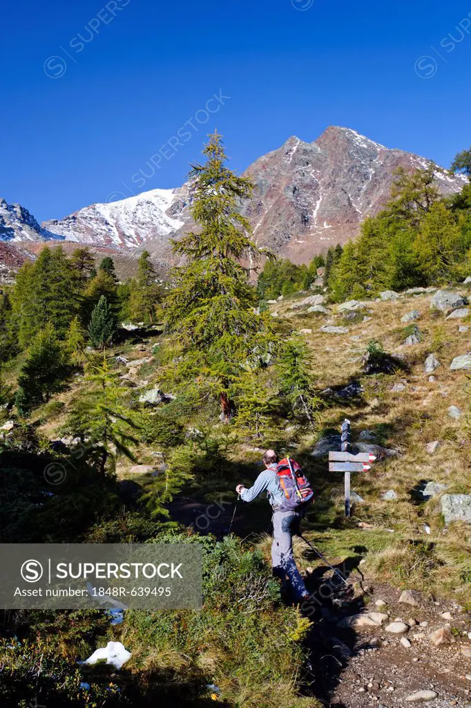 Hikers ascending to Mt. Hintere Eggenspitze in the Ultental valley above Lake Weissenbrunn, South Tyrol, Italy, Europe