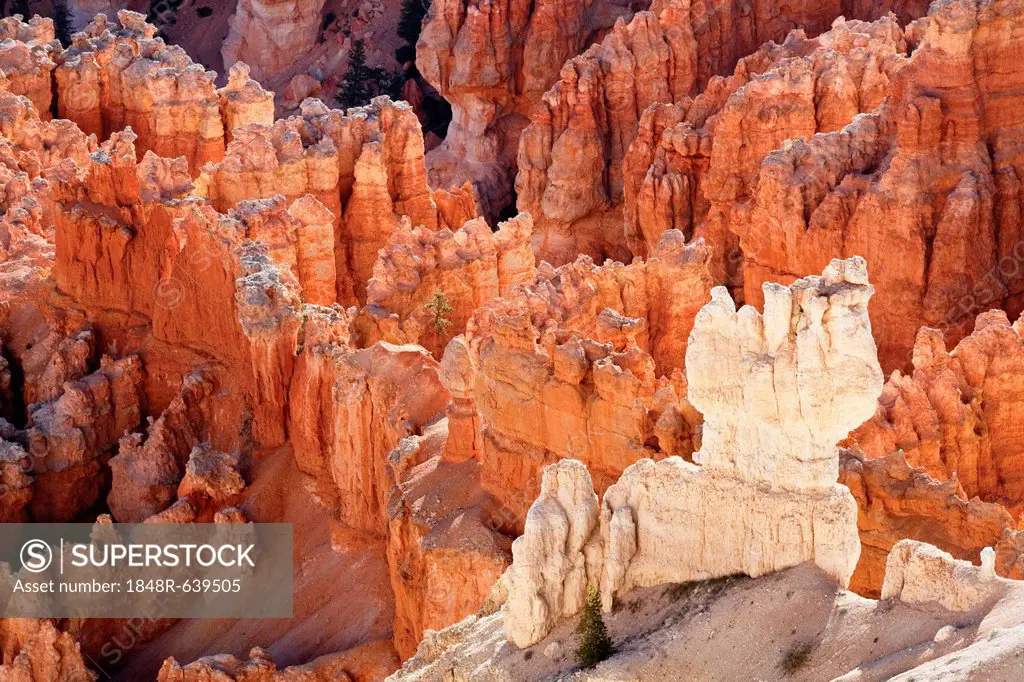 View from Bryce Point showing layers of sandstone hoodoos, Bryce Canyon National Park, Utah, USA