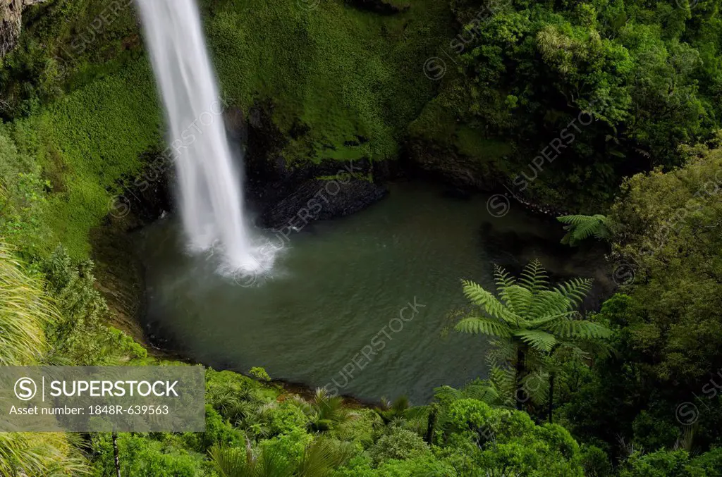 Bridal Veil Falls surrounded by dense rainforest, Raglan, Waikato, North Island, New Zealand