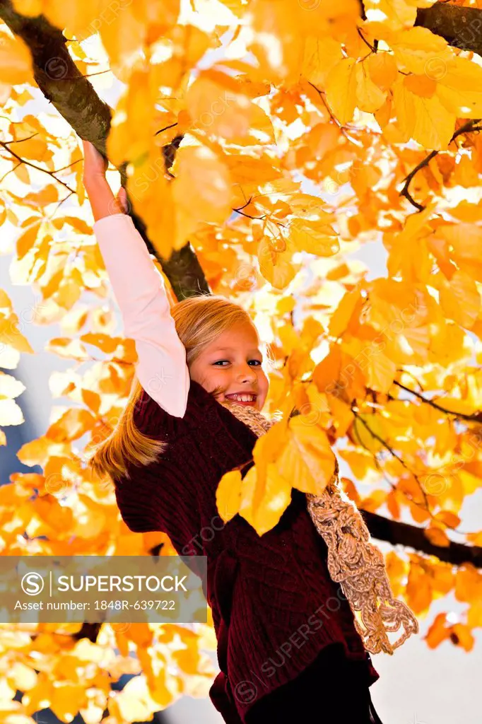 Girl on tree in autumn