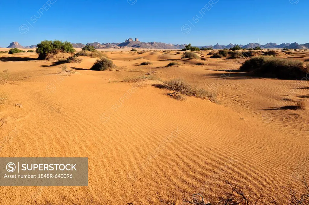 Small sand dunes in a wadi of Erg Admer, Wilaya Illizi, Algeria, Sahara, North Africa