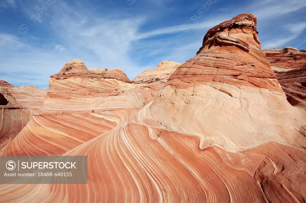 Rock formation made of petrified sand dunes, Coyote Buttes North, Vermillion Cliffs Wilderness, Arizona, USA