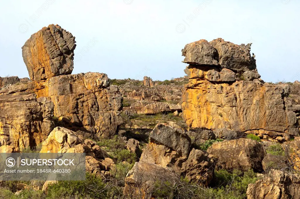 Sandstone formations in the Cedarberg region near Clanwilliam, Cederberg Wilderness Area, Western Cape, South Africa, Africa