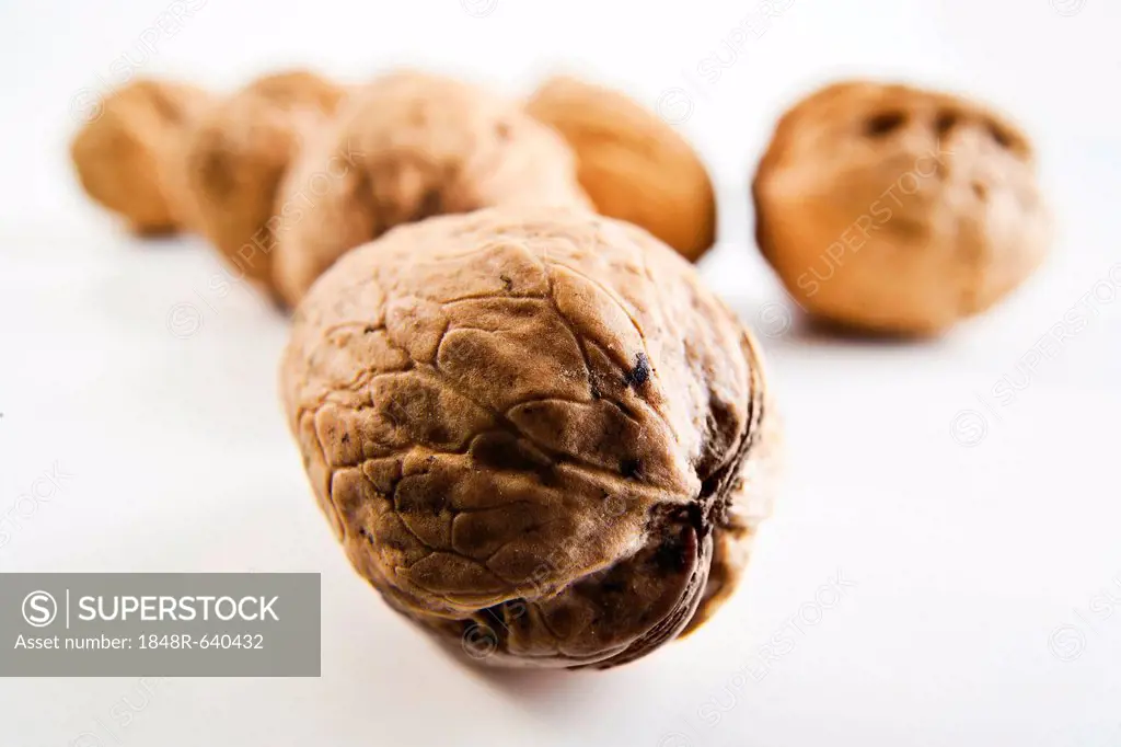 Walnuts (Juglans regia)