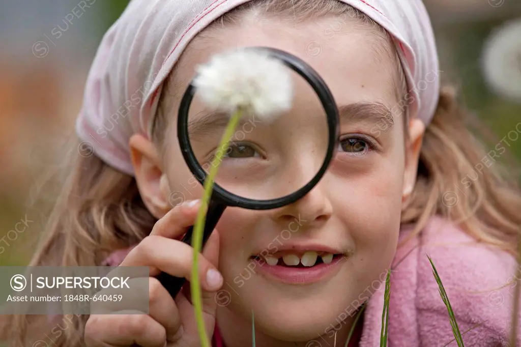Little girl looking at a blowball through a magnifying glass