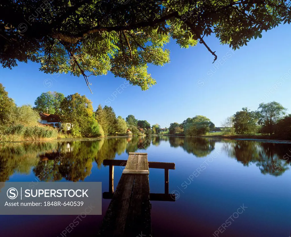 Degerndorfer Weiher, pond, Degerndorf, Muensing, Toelzer Land, Upper Bavaria, Bavaria, Germany, Europe