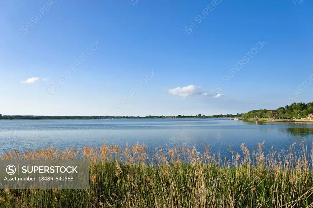 Lake Neustaedter Binnenwasser, Neustadt in Holstein, Baltic Sea, Schleswig-Holstein, Germany, Europe