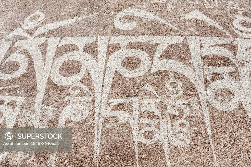 Tibetan script carved on a rock, Chemre Gompa Monastery near Leh, Ladakh district, Jammu and Kashmir, India, South Asia, Asia