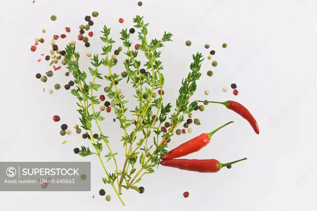 Thyme (Thymus vulgaris), with chili and red and black pepper