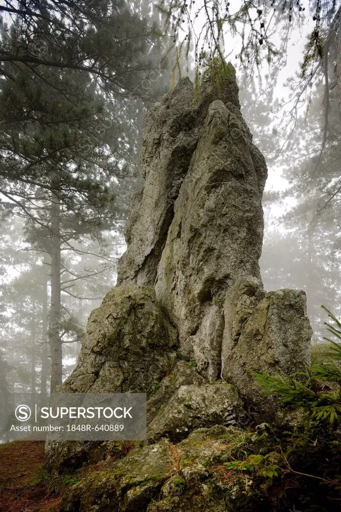 Druid stone in fog, Noestach, Triestingtal valley, Lower Austria, Austria, Europe