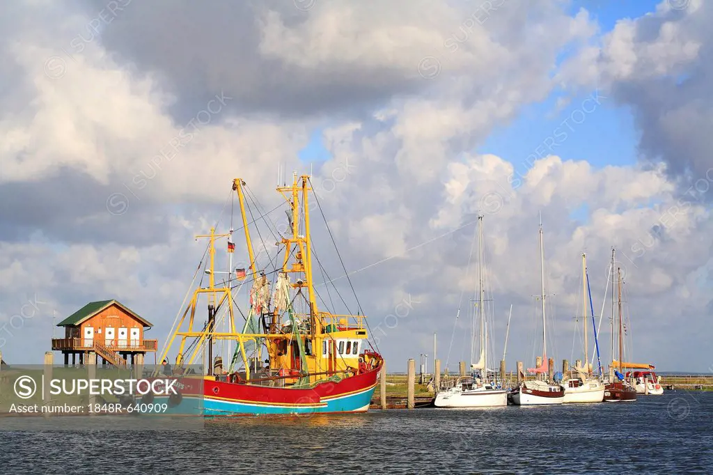 Port of Hallig Hooge, Northern Friesland, North Sea, Wadden Sea, Schleswig-Holstein, Germany, Europe