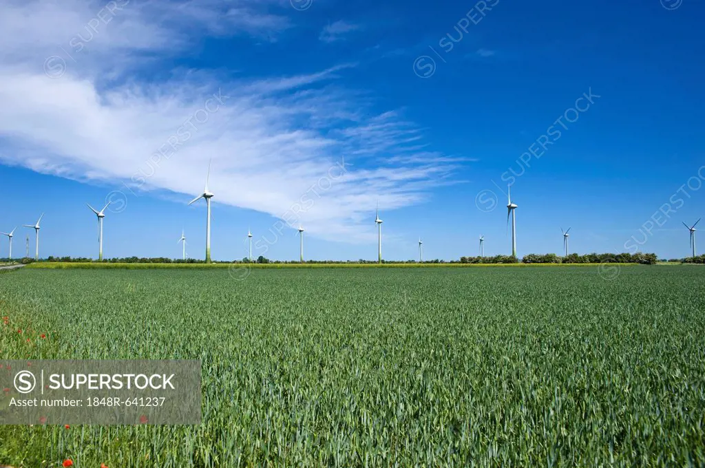 Wind farm, Schlagsdorf, Island of Fehmarn, Baltic Sea, Schleswig-Holstein, Germany, Europe