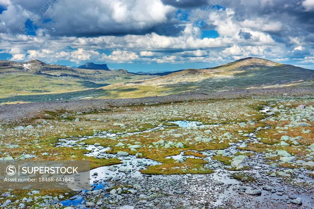 Steindalen valley, Saltfjellet-Svartisen National Park, Nordland county, Norway, Scandinavia, Europe