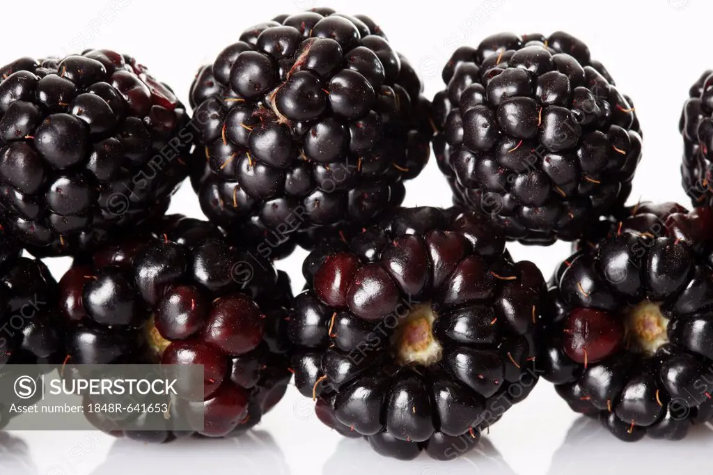 Blackberries, detail view