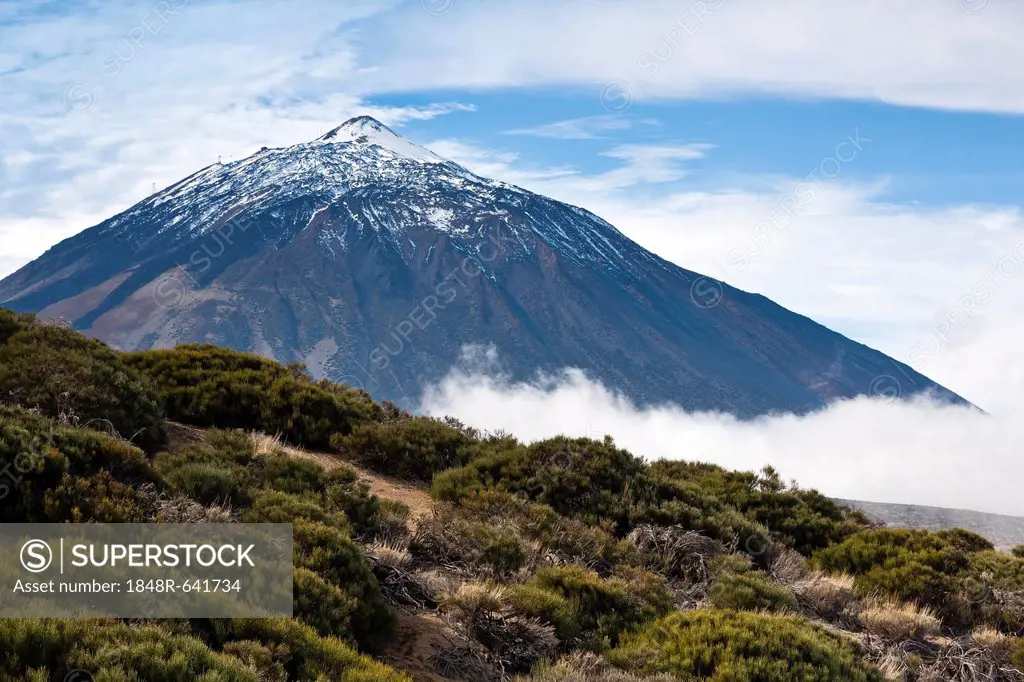 View of the Pico del Teide mountain, Tenerife, Canary Islands, Spain, Europe