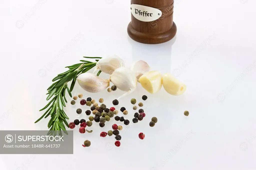 Garlic (Allium sativum) with pepper mill, fresh rosemary, black and red pepper