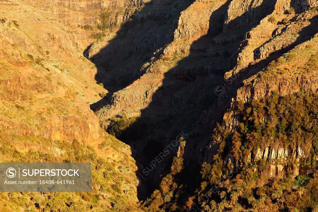 Barranco del Agua canyon, upper Valle Gran Rey valley, La Gomera island, Canary Islands, Spain, Europe