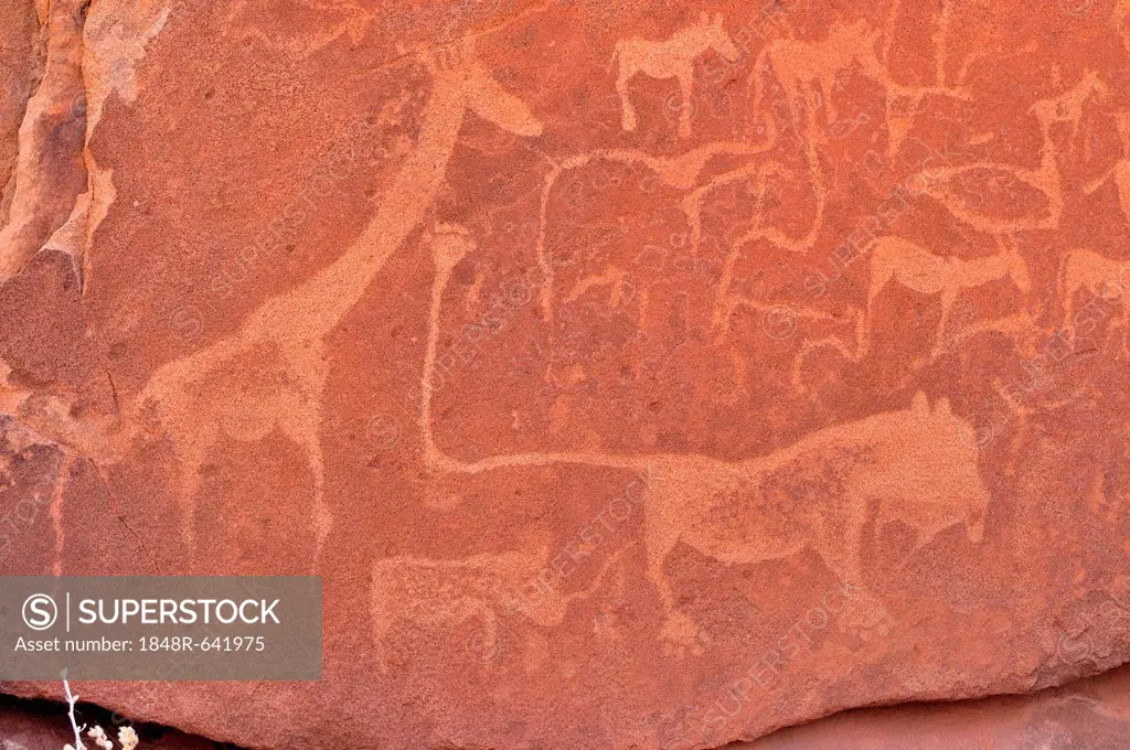 Petrograph of the famous lion with the kinked tail, Twyfelfontein, Namibia, Africa