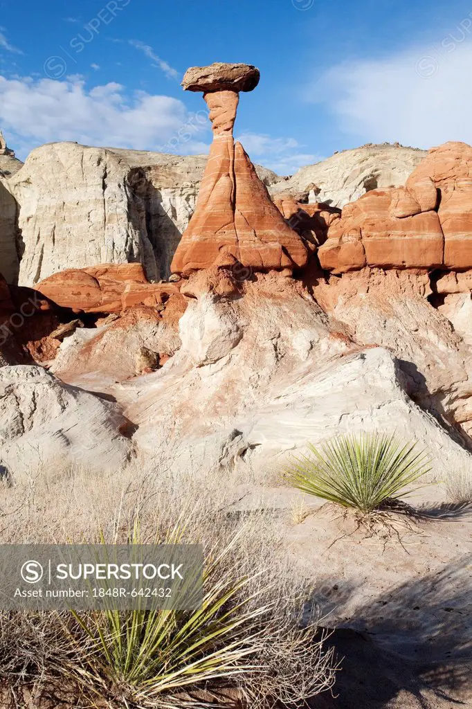 The Rimrock, landscape, Utah, USA, America