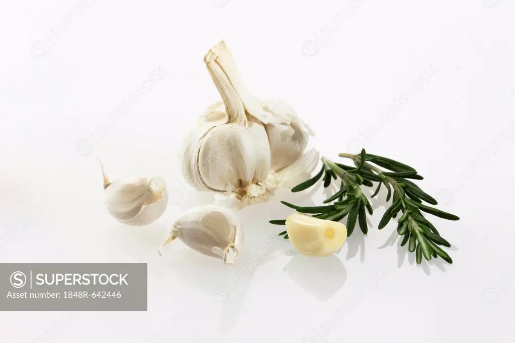 Garlic (Allium sativum) and fresh rosemary (Rosmarinus officinalis)