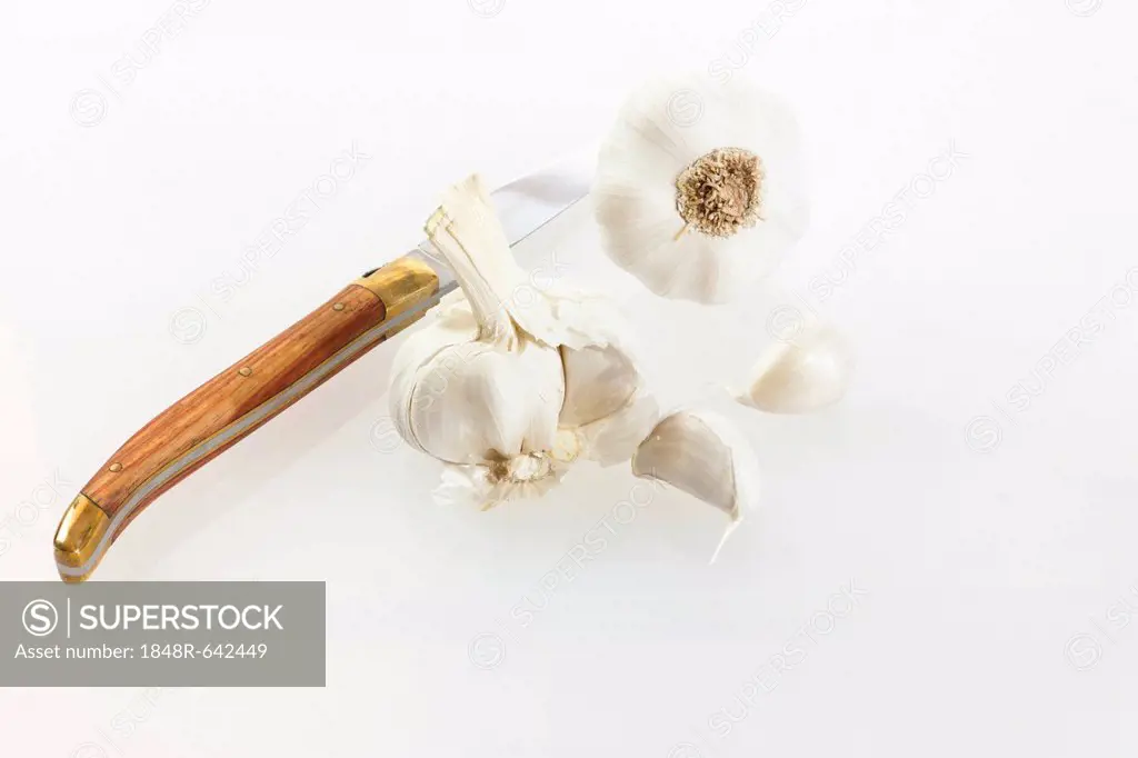 Garlic (Allium sativum) with knife