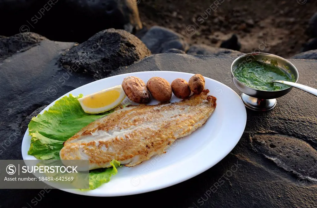 Grilled perch fillet with wrinkly potatoes, papas arrugadas and mojo verde, La Palma, Canary Islands, Spain, Europe, PublicGround