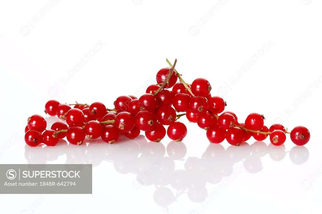 Red currants (Ribes)