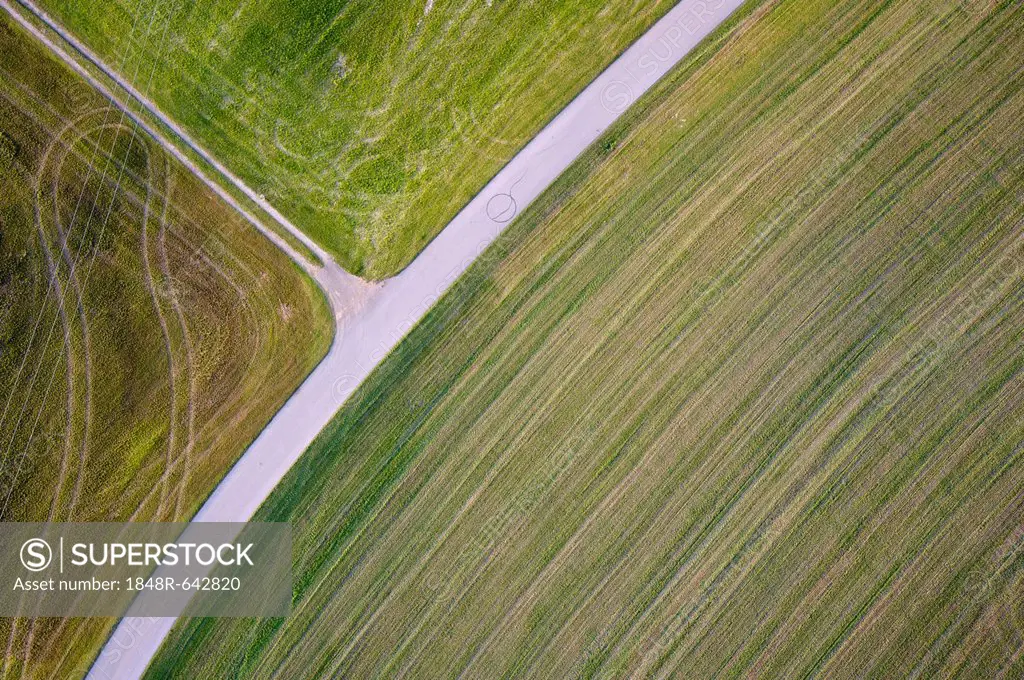 Aerial view, road through fields in Chiemgau, Upper Bavaria, Bavaria, Germany, Europe