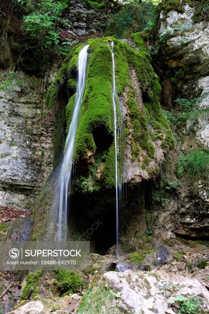 Tannegger Waterfall with its bizarre tufa formation in the Wutach Gorge Nature Reserve, Black Forest, Baden-Wuerttemberg, Germany, Europe
