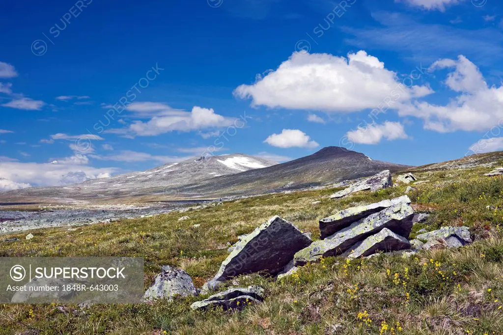 Valley of Namnlauselva brook, Saltfjellet-Svartisen National Park, Nordland county, Norway, Scandinavia, Europe