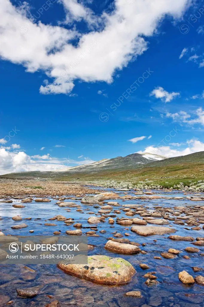 Namnlauselva brook, Saltfjellet-Svartisen National Park, Nordland county, Norway, Scandinavia, Europe