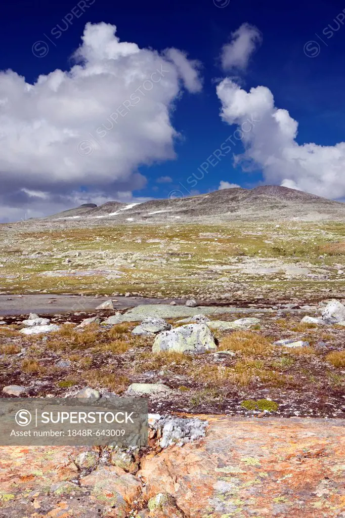 Valley of Namnlauselva brook, Saltfjellet-Svartisen National Park, Nordland county, Norway, Scandinavia, Europe