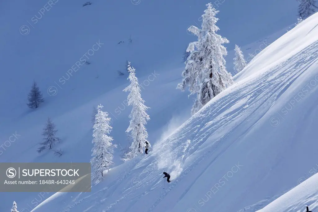 Deep powder snow, Hahn'l Piste ski slope, Reiteralm skiing area, Pichl-Preunegg near Schladming, Styria, Austria, Europe