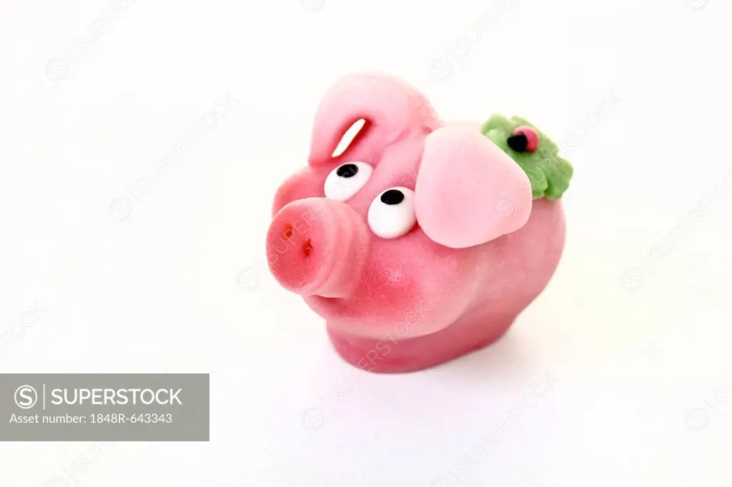 Pig as a symbol of good luck, made of marzipan