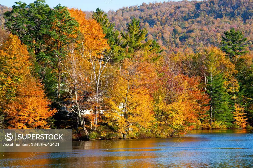Sallys Pond in autumn, West Bolton, Quebec, Canada