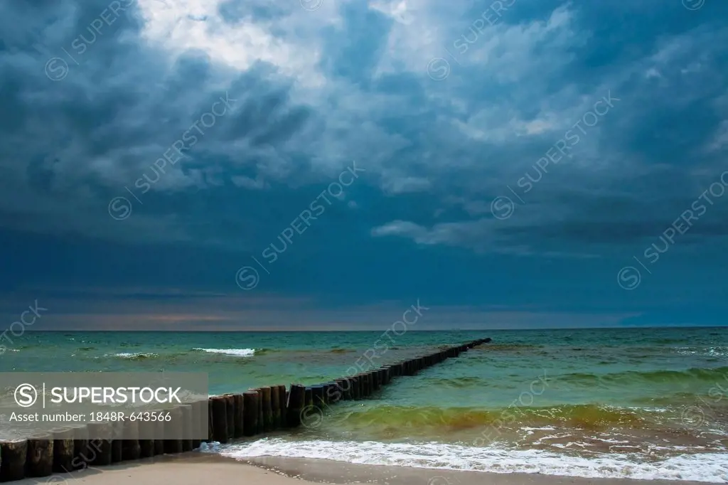 Groynes on the beach, Darss, Ahrenshop, Mecklenburg-Western Pomerania, Germany, Europe